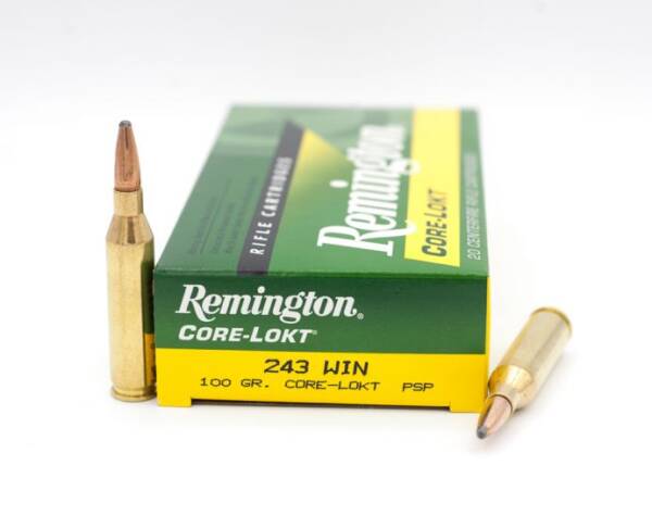 Remington Express Core Lokt - 243 WIN (100gr)